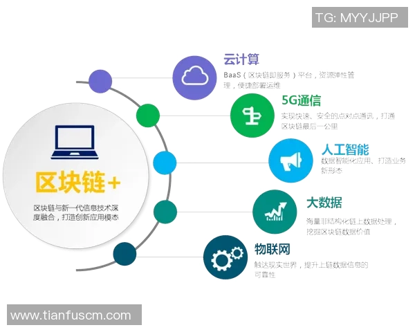 《基于人工智能技术的个人项目开发与创新探索：从构想到实现的全流程分析与实践》