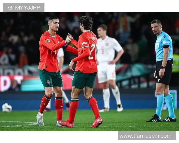 葡萄牙与俄罗斯足球对决谁能胜出分析及预测