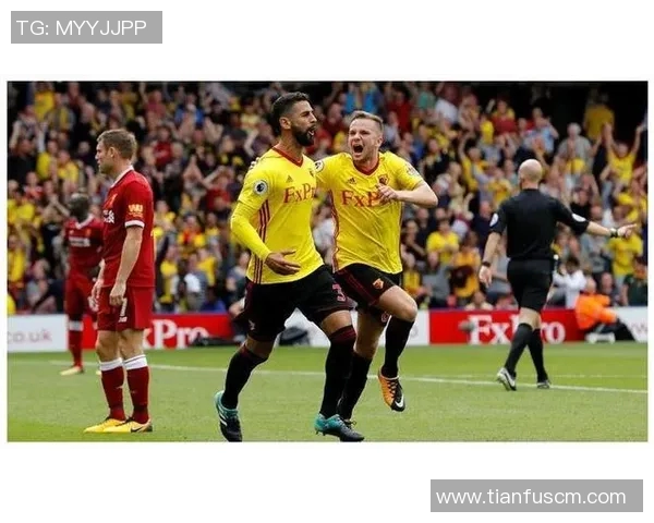 斯旺西与罗瑟汉姆对决前瞻分析及比赛预测详解