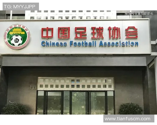 足协改革与发展：推动中国足球整体提升与国际化进程的战略思考