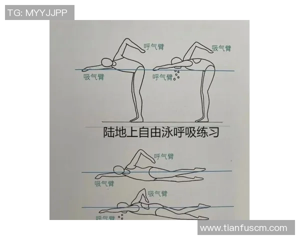 蛙泳动作要领解析及技巧训练步骤详解 蛙泳动作要领解析及技巧训练步骤详解