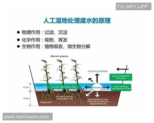 科学排球训练新方法提升运动员状态与竞技表现的全面指南 科学排球训练新方法提升运动员状态与竞技表现的全面指南