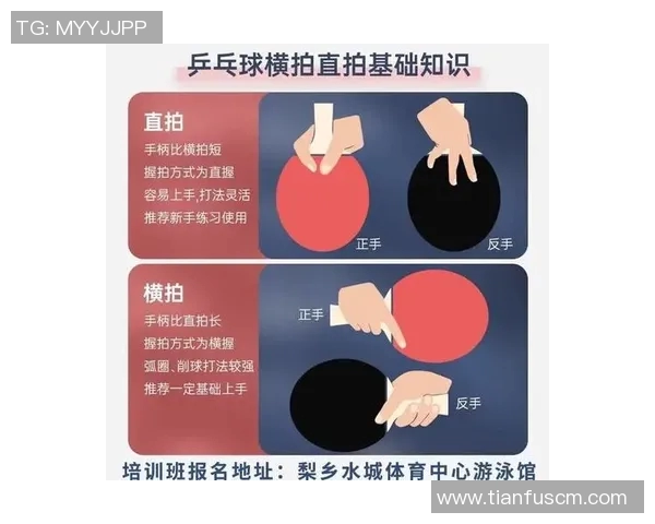 赵秀英独家分享乒乓球技巧与心得体会助你提升球技的秘籍与经验 赵秀英独家分享乒乓球技巧与心得体会助你提升球技的秘籍与经验