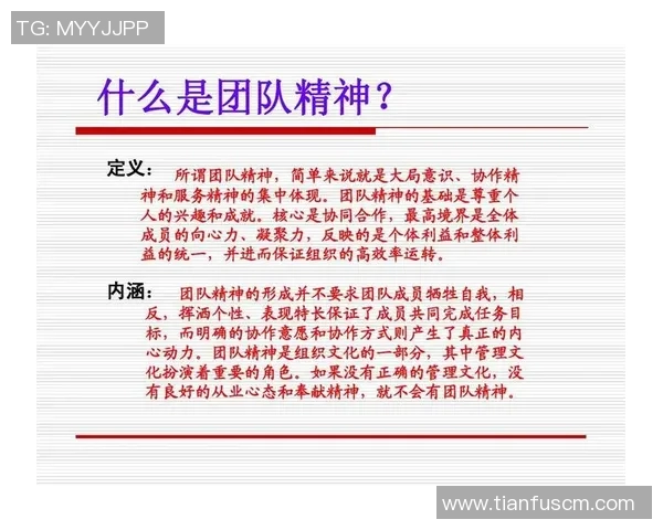 成都乒乓球队的团队协作之道：凝聚力与默契的完美结合