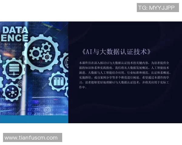 《基于人工智能技术的个人项目开发与创新探索：从构想到实现的全流程分析与实践》