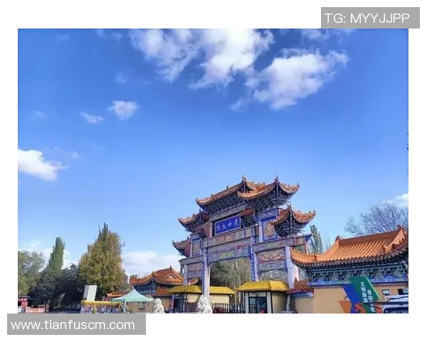 从零开始掌握篮球配合技巧全面指南助你成为场上明星