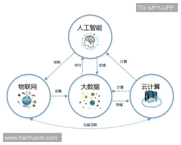 智能物流时代：如何利用大数据与人工智能提升供应链效率和精准度