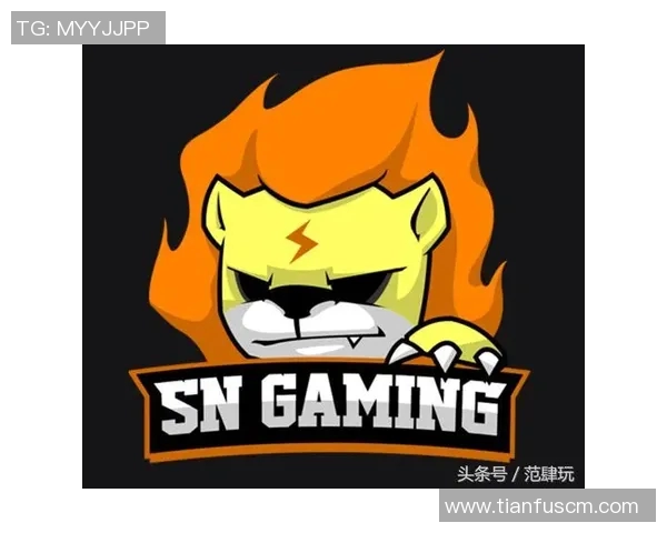 DOTA2热点分析：深入探讨WE战队的运营策略与发展方向